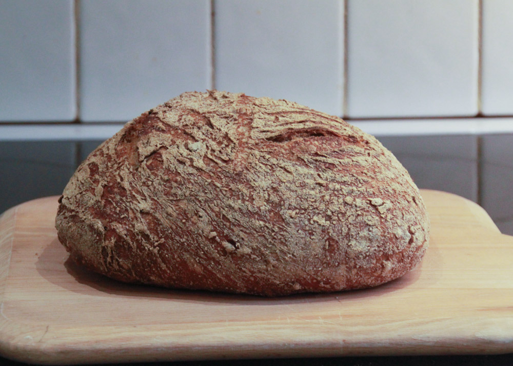 Malted Grain Sourdough Bread Recipe The Bakermans Kitchen malted-grain-sourdough-bread-recipe-the-bakermans-kitchen